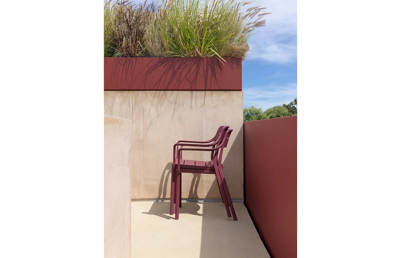 Cassia Armchair